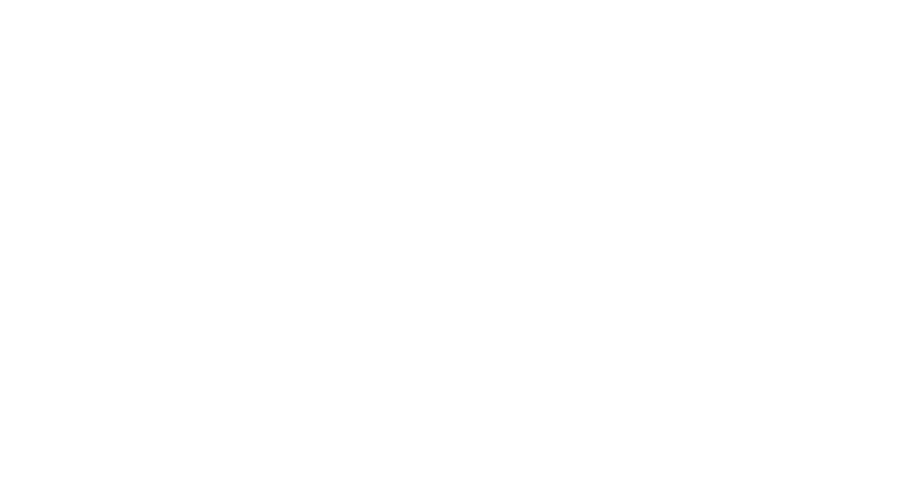 WingSport, LLC WingSport, LLC - Brent Birch Arkansas duck hunting