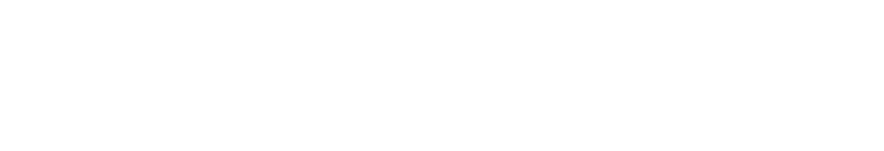 WingSport, LLC WingSport, LLC - Brent Birch Arkansas duck hunting