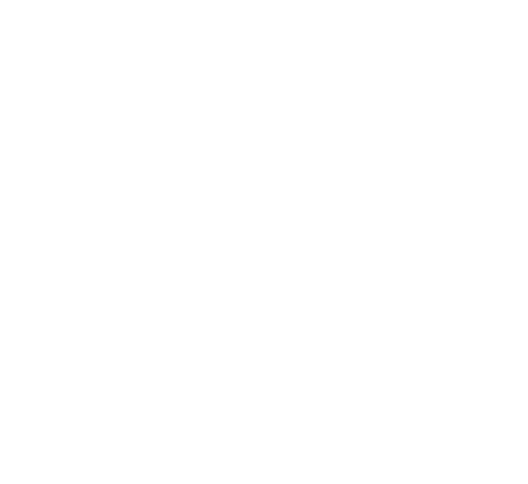 WingSport, LLC WingSport, LLC - Brent Birch Arkansas duck hunting